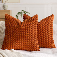 Taies d'oreiller en polaire bulle couleur unie, très vendues, luxe léger, housses de coussin haut de gamme pour canapé domestique