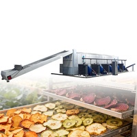 Snelle En Continue Tunneldroger Voor Voedsel Grote Voedseldroger Bananen/Mango 'S/En Druiven Druivendroger Machine
