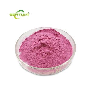 % <span class=keywords><strong>100%</strong></span> doğal Bluebery tozu Blueberry özü dondurularak kurutulmuş yabanmersini tozu - Product Image 2