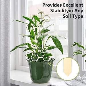 <span class=keywords><strong>Support</strong></span> de plante grimpante en <span class=keywords><strong>bois</strong></span> moderne de 30 cm, cadre créatif pour plantes grimpantes, <span class=keywords><strong>support</strong></span> de fleurs, <span class=keywords><strong>support</strong></span> de pot de jardin, poteaux de <span class=keywords><strong>support</strong></span> fixes - Product Image 4