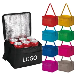 Wholesale Carry Non Woven Custom Women Kids Lunch Bag Lunch Insulated 6 Can Cooler Bag