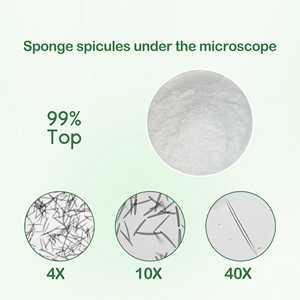 Spongilla Spicule Factory สารสกัดจากผลิตภัณฑ์ดูแลผิวเงินสดที่มีประสิทธิภาพส่วนผสมเครื่องสำอางป้องกันสิว99.51% - Product Image 5
