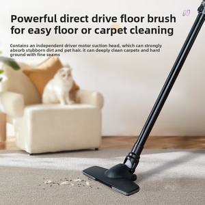 Aspirateur domestique à grande aspiration Fonction de séchage humide Alimentation électrique pour les poils de chat Tapis transfrontalier Petits aspirateurs à main - Product Image 2