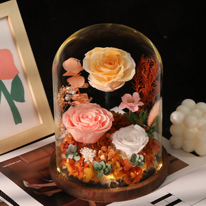 Roses éternelles <span class=keywords><strong>de</strong></span> haute qualité en gros sous cloche en verre – Cadeau idéal pour anniversaire, Saint-Valentin, décoration intérieure – Fleurs éternelles - Product Image 1