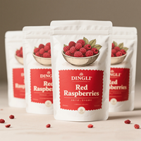 High-quality Food Grade Packaging Frozen Fruit Nuts Chocolate bar Protein Powder Stand up Zipper Mylar Bag