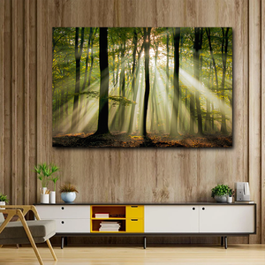 Lienzo Impreso en Oferta, Bosque Tranquilo con Hojas Iluminadas por el Sol, Hermoso Bosque, Fondo Natural, Escena Dinámica del Bosque - Product Image 2