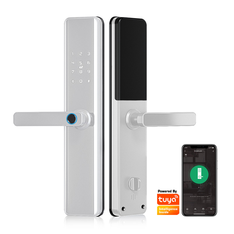 tuya silver(wthout gateway)