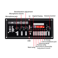 Papan Amplifier Mobil Lintas Batas Khusus untuk Audio 5.0 Mono 30-120W 12V/24V/220V Bahan Logam