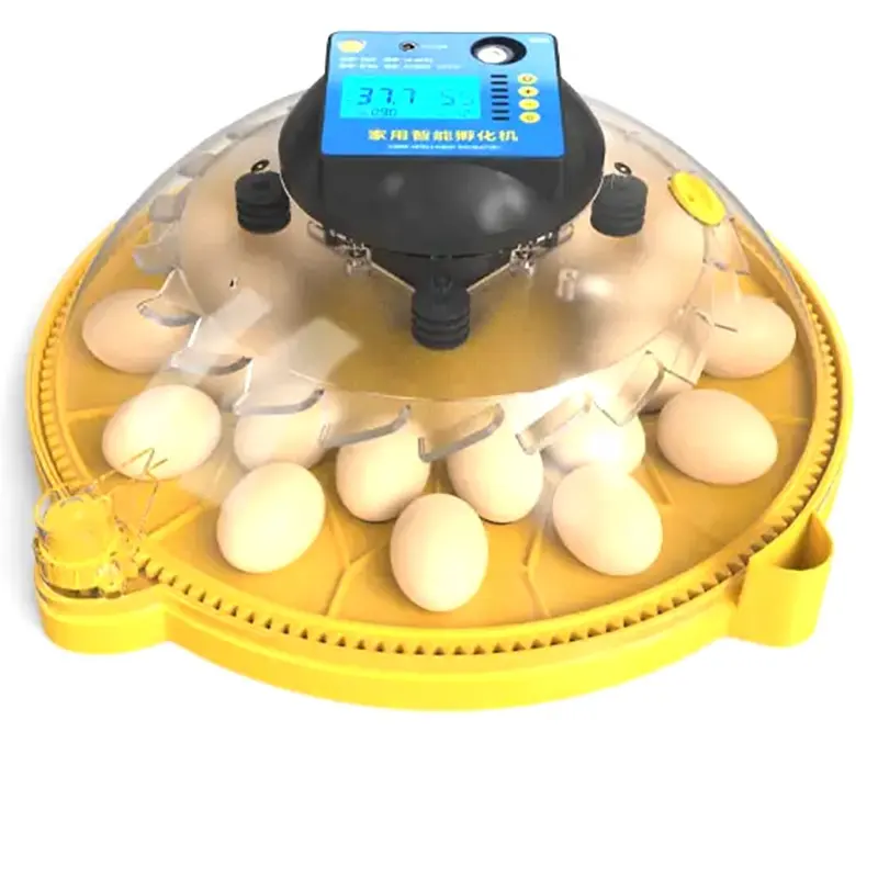 Jiatai Groothandel 48 Kippeneieren Automatisch Voor Pluimveehouderij