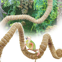 Vigne grimpante flexible en fibre de coco pour reptiles, décoration pour terrarium de dragon barbu, caméléon, serpent, gecko, lézard