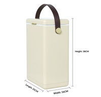 Seau à glace et refroidisseur à vin isotherme portable en fer de 10 L pour l'extérieur