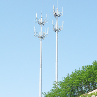 Tour de télécommunication galvanisée personnalisée 10-60m Tour monopole Internet