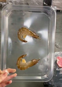 <span class=keywords><strong>Machine</strong></span> d'emballage de peau <span class=keywords><strong>sous</strong></span> <span class=keywords><strong>vide</strong></span> pour steak viande crue fruits de mer <span class=keywords><strong>Machine</strong></span> d'emballage de peau <span class=keywords><strong>sous</strong></span> <span class=keywords><strong>vide</strong></span> avec film et plateau - Product Image 5