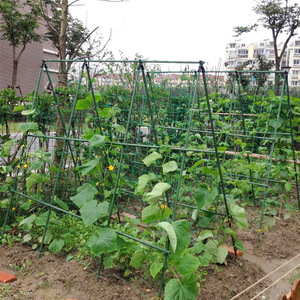 Treillis rectangulaire en plastique vert pour plantes, facile à assembler, pour le soutien des plantes dans le jardin - Product Image 5