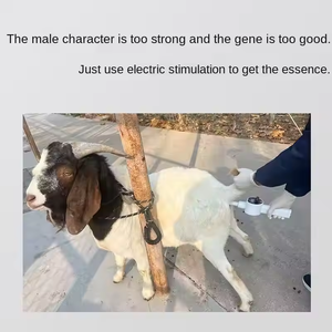 Gran oferta portátil de electroestimulación de animales, Colector de esperma, cerdos, caballos, ganado, ovejas y ratones, máquina de inseminación Artificial - Product Image 4