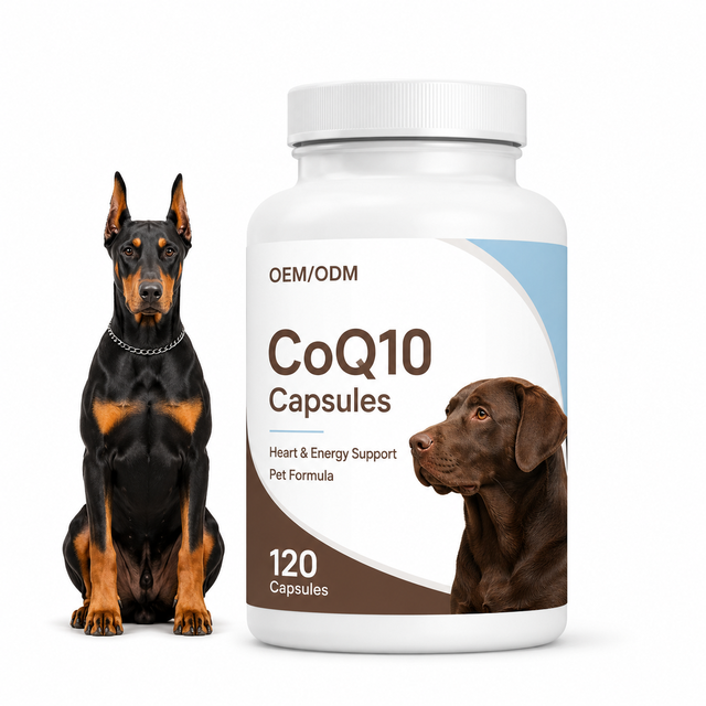CoQ10 Heart Support Capsules Vitamin E Taurine for Aging Dogs-Grain-Free Mitochondrial Energy Cardiac Health Pet Supplement
