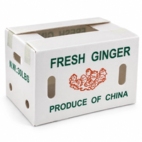 Boîte à gingembre pliable en PP ondulé, étanche, réutilisable, ventilée, lavable, empilable, écologique, recyclable, en plastique, pour produits frais