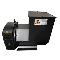 Generador STF-164C STF-10.8 de 10.8kw, 4 polos, sin escobillas, trifásico, de CA, sincrónico, con cable de cobre hexagonal, OEM