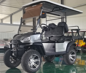 De Prowl Car ver Tour coche eléctrico vista Off-road ruedas carro de Golf - Product Image 2
