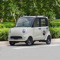 Mini voiture électrique Voiture Electrique Adulte Scooter électrique voiture 4 roues fermée à vendre sans permis de conduire
