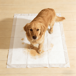 Tapis d'entraînement pour chiens avec logo personnalisé d'usine OEM, 45x60cm, anti-fuite, super absorbants, pour chiots et chiens de petite et moyenne taille - Product Image 1