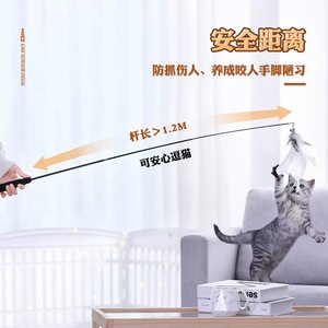 Jouets pour chats, jouets interactifs pour chats, longues baguettes avec plumes extensibles, têtes interchangeables, clochettes, cannes à pêche et un guide complet sur le thème des chats. - Product Image 4