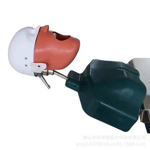 Modelo de Cabeza de Simulación Dental Dansdon con Boca Reemplazable para Prácticas de Enseñanza Oral, Fabricado en Foshan - Product Image 4