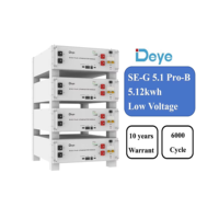 Baterai Deye LifePo4 SE-G5.1 PRO-B 51.2V 100Ah 5.12Kwh Lithium Tenaga Surya untuk Aplikasi Rumah Tangga