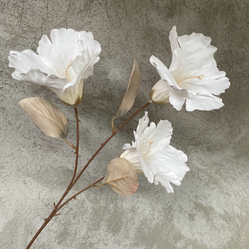 3 blancs