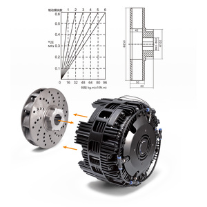 Freno de Disco de Aire Nuevo Shengda <span class=keywords><strong>YuGe</strong></span> DBS250 para Máquina de Impresión 1.5-160N/m con 1 Año de Garantía - Product Image 4