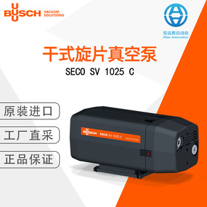 Bomba de Vacío de Paletas Rotativas Secas Serie SV Seco, de Hierro Fundido, Eléctrica, para Uso Industrial - Product Image 5