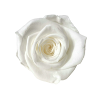 TC Vente en Gros Têtes de Roses 4-5 cm, Aspect Naturel, Grade B, Roses Éternelles de Luxe, Matériel DIY, Fleur Longue Durée, Cadeau pour la Saint-Valentin