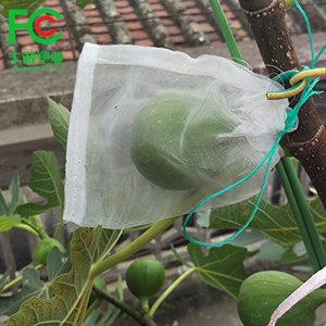 <span class=keywords><strong>Filet</strong></span> <span class=keywords><strong>anti</strong></span>-insectes en nylon transparent, sac de protection pour fruits, <span class=keywords><strong>filet</strong></span> de protection en maille - Product Image 6