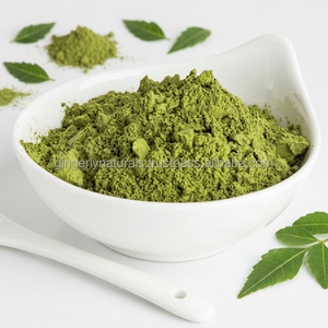 Proveedor Mayorista de Polvo de Neem de la India - Product Image 5