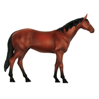 Modelo Educativo de PVC, Modelos Anatómicos de Caballos, Biología Animal, Órganos Desmontables, CE/ISO