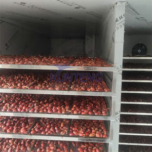 Máquina secadora deshidratadora industrial comercial de 1000kg para alimentación granulada <span class=keywords><strong>Taibo</strong></span> Date Baobab Tortilla Uva Algas marinas secas - Product Image 2