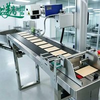 Graveur laser UV à alimentation par pagination réglable avec module de codage QR pour les emballages alimentaires composites