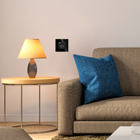 Bingoelec Prises Électriques Françaises Murales Schuko à Charge Rapide avec Ports USB Type C pour Maison