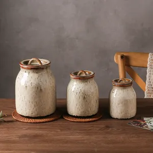 Ev yaratıcı nem geçirmez baharat çeşniler porselen saklama kabı seramik kurabiye kavanozu mühürlü mutfak setleri