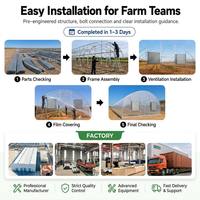 Serre Agricole Hydroponique Préfabriquée en Film Plastique pour Fraises, Tunnel Commercial