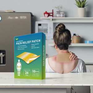 2025 핫 세일 중국 의료 공급-통증 완화 패치 허리 통증에 대한 뜨거운 트렌드 재활 치료 등 들것 - Product Image 1