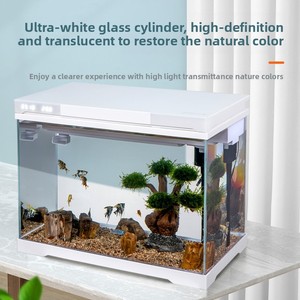 Petit réservoir d'<span class=keywords><strong>aquarium</strong></span> de bureau ultra-blanc Réservoir à poissons en verre écologique avec poisson rouge pour bureau ou salon 220V - Product Image 2