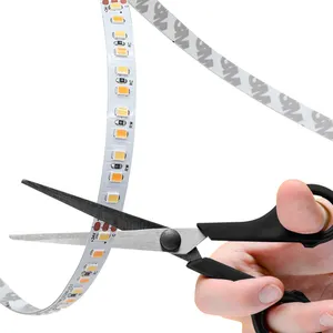 Dual Color Led Light Strip Flexible Two-color 2835 White + Warm White 120led 240led 480led Dc12v 24V Bicolor Strip Light