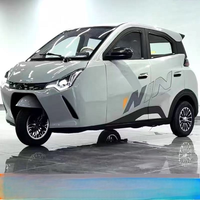Triciclo Eléctrico Duradero de Cuatro Puertas, Bien Recibido en Europa y América
