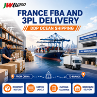 Agente de Transporte Marítimo de China a Francia DDP, Flete Marítimo para Amazon FBA y Entrega a Almacenes 3PL, Transitario de Carga de China