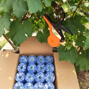 Machine robuste pour le ligature des plantes, idéale pour le soutien des vignes, des tomates et des fruits <span class=keywords><strong>de</strong></span> <span class=keywords><strong>la</strong></span> <span class=keywords><strong>passion</strong></span> - Product Image 1