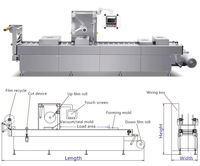 Machine d'emballage thermoformeuse continue électrique automatique robuste pour sachets et barquettes, idéale pour la viande, le bacon, le fromage en tranches et les boulettes de viande