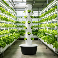 Système de culture hydroponique verticale Garden Tower, tour de culture hydroponique verticale pour la plantation en jardin
