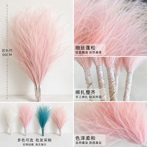 Yuan Nuo Feather <b>Grass</b> <b>Dried</b> Flower 60cm Soft Decor For Floral Arrangement - Product Image 3