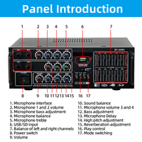 Amplificateur numérique Hi-Fi pour la maison Zhengying Factory BT-9999 avec subwoofer, contrôle indépendant et microphone, stéréo numérique